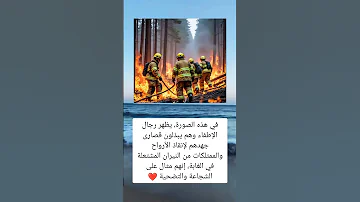 صورة رجال الإطفاء وهم يخاطرون بكل شيء لإنقاذ السعودية فلسطين المغرب معلومات الجزائر ترند 