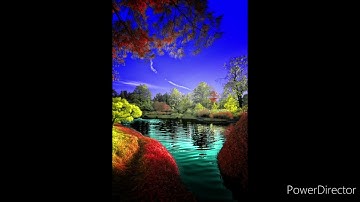 سورة ق كاملة من صلاة التراويح للقارئ داود محداب - ولاية جيجل -