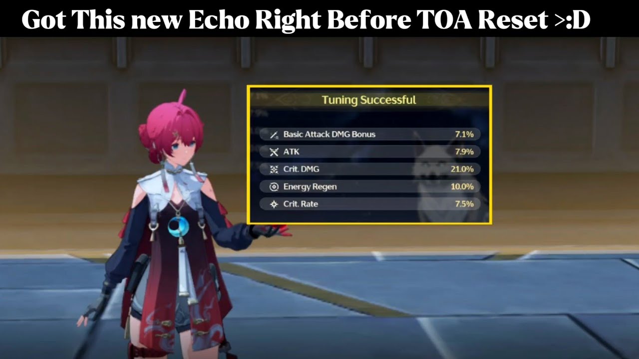 Perfect Day for TOA Reset , Time to Test this Echo | Wuthering Waves