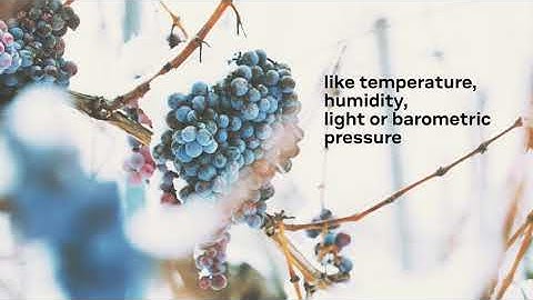 Monitoring and tracking conditions with BeWhere