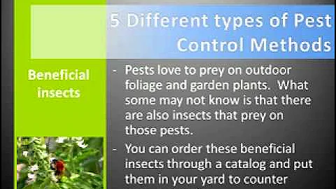 5 Different Types of Pest Control Methods