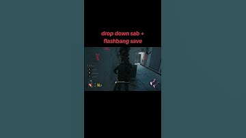 sab+flashbang save #dbdshorts #clips #deadbydaylight #theRealCwilly