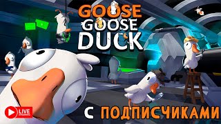 : #SHORTS GOOSE GOOSE DUCK    7   #419 