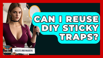 Can I Reuse DIY Sticky Traps? - Insects and Invaders
