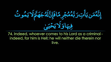 Surah Taha | Nasser al Qatami سورة طه | ناصر القطامي