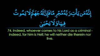 Surah Taha | Nasser al Qatami سورة طه | ناصر القطامي