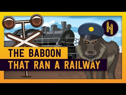 The Baboon That Controlled a Railway for 9 Years