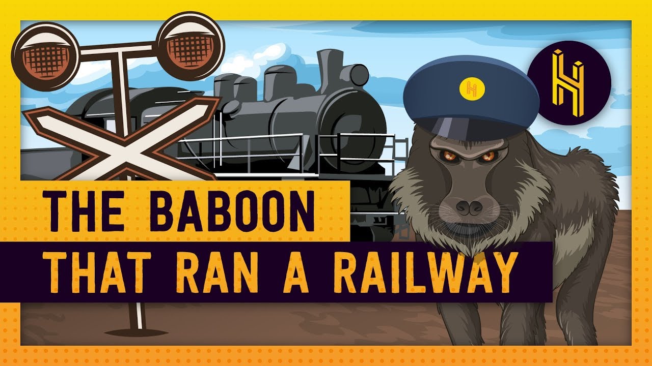 ⁣The Baboon That Controlled a Railway for 9 Years