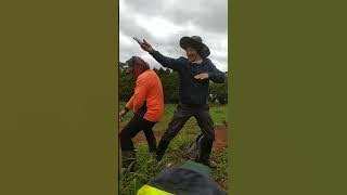 GOYANG GEMOY OKE GAS