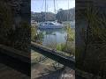 Yachties' Haven Whangarei Town Basin #whangarei #yachts #barefoot