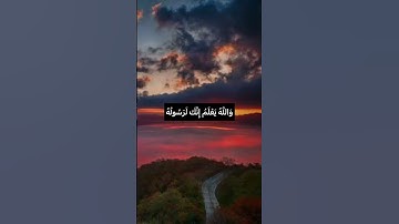 وَاللَّهُ يَشْهَدُ إِنَّ الْمُنَافِقِينَ لَكَاذِبُونَ❤️#حسن_الظن_بالله #مع_القرآن #سورة_المنافقون