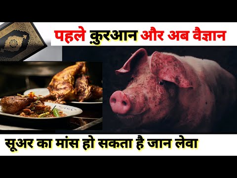 वीडियो: मेंहदी के साथ भुना हुआ सूअर का मांस