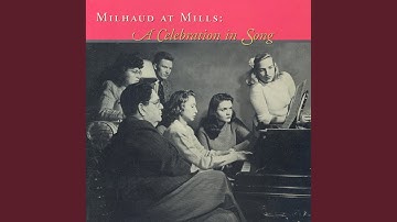 No. 6. Le Brachycome (The Brachycome)