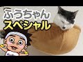 【サンシャイン池崎猫】ふうちゃんＳＰ！ふうらい絵巻~其の七~
