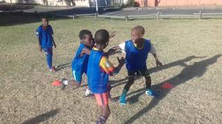 HP Stars training