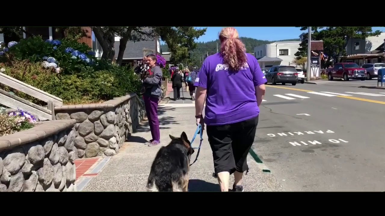 1 YEAR OLD GSDXENABEST DOG TRAINING PORTLANDOFF LEASH K9 TRAINING