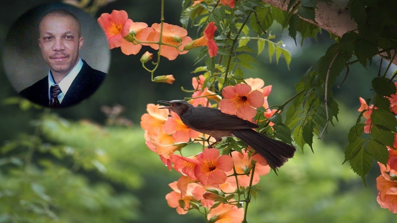 Someone For Me - Stanley Okorie