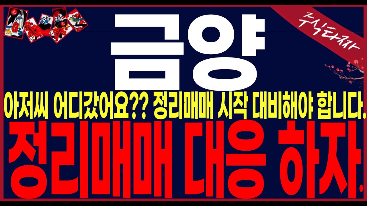 금양 주가 전망]