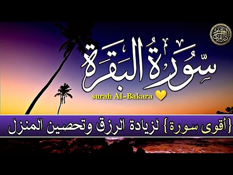 سورة البقرة كاملة لتحصين المنزل وجلب البركة وقضاء الحوائج    بصوت يلامس الروح