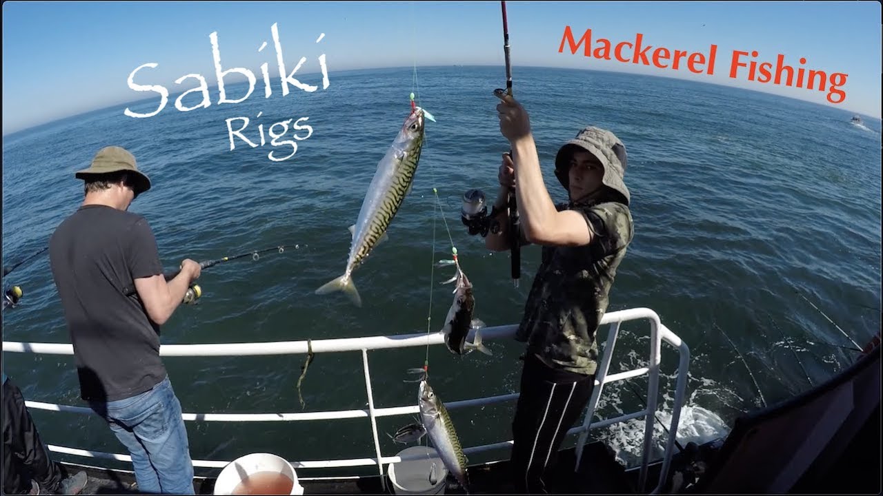 Catching Mackerel On Sabiki Rigs!