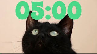 Famous 5 Minute Cat Timer with Music for Kids! Countdown Videos! Wealth