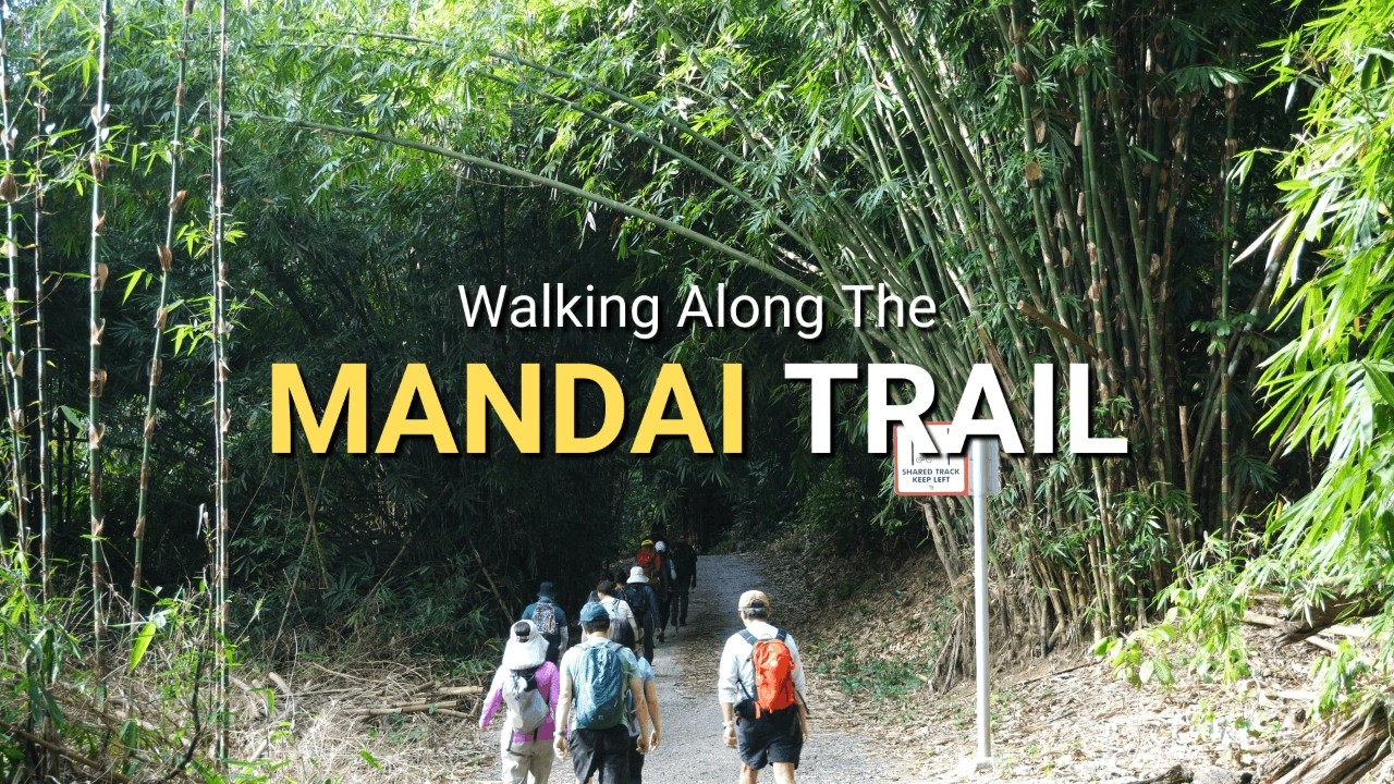 Early Morning Hike In The North of Singapore 🧭 | Woodlands South to Bukit Timah