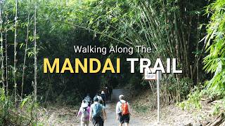 Download Lagu Early Morning Hike In The North of Singapore 🧭 | Woodlands South to Bukit Timah MP3