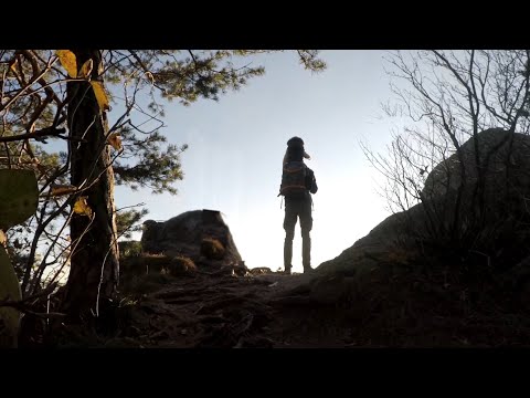Video: Prečo chodiť do prírody?