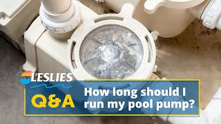 Q&A How Long Should I Run My Pool Pump? Leslies