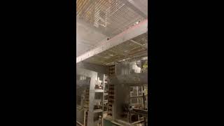 🐶🔴LIVE~Egg Sorting 🥚 2026-08-17