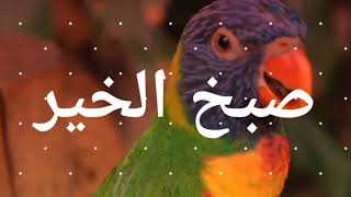 whatsapp status subah al khair status good morning status