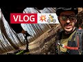 💥🚴 irgendwann musste es ja passieren: der erste Sturz auf Video | Mountainbike VLOG in Wien