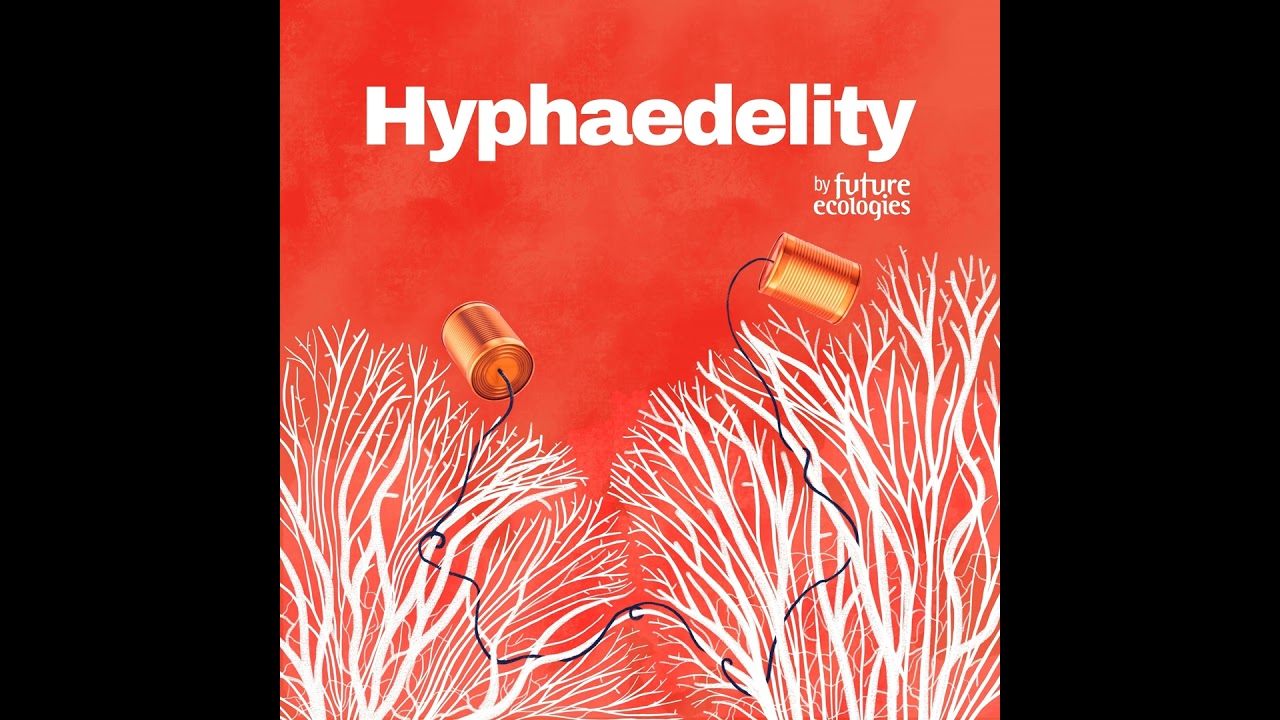 [HYPHAEDELITY] Eric Higgs x Laura Govers — Seagrass Restoration on a Moving Island