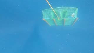 Part 1\/3 Bukad ng Bobo ( Fish Trap )