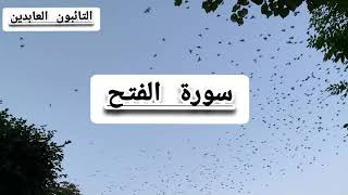 سورة الفتح بصوت القارئ غسان الشوربجي