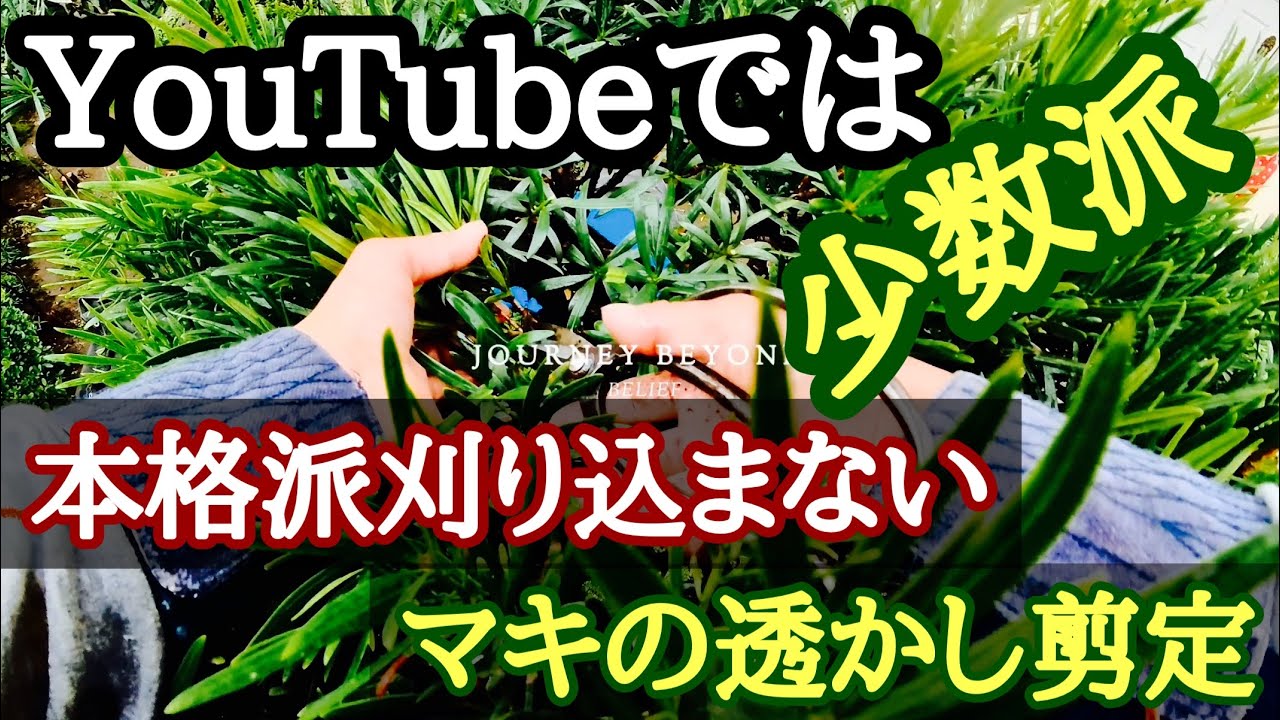 本格派 【マキの透かし剪定】と撮影機材とかYouTubeの話
