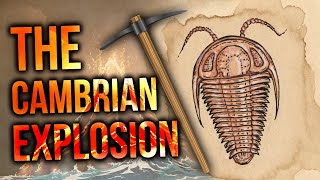 The Cambrian Explosion | David Rives