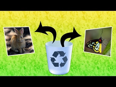 How to recover deleted files with Disk Drill from Windows & Mac