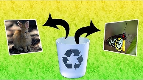 How to recover deleted files with Disk Drill from Windows & Mac