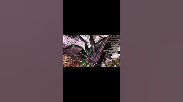 Ceiling Mirelurk #Fallout76 #Shorts #Glitch