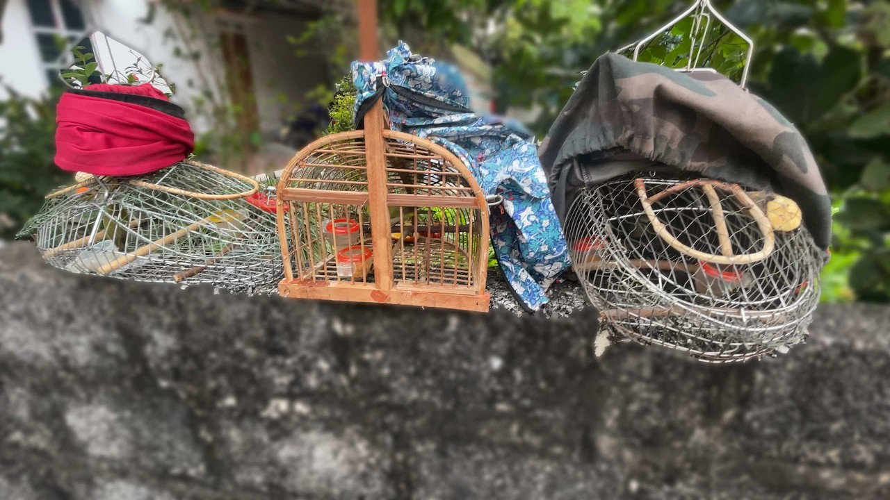 Ba Lụp Thủ Đam Mê Tới Nhà | Toàn Cao Thủ