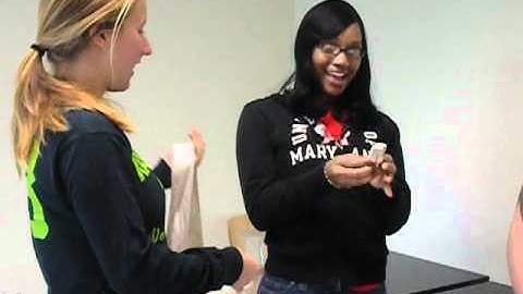 Sensorimotor Integration Activity! KNES370