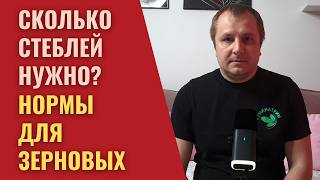 Секрет урожайности зерновых. Сколько колосьев нужно на м²?