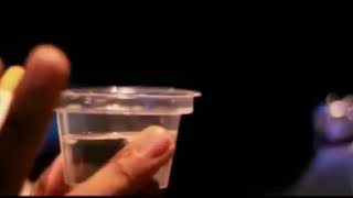 Ciu bekonang sakjose😂