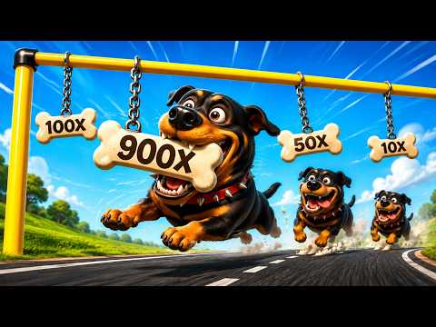 Playing Dog House 1000 First Time...