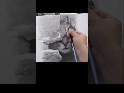 연필소묘 고양이 그리기 shorts