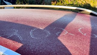 Download Lagu Cold Damage at the Food Forest MP3