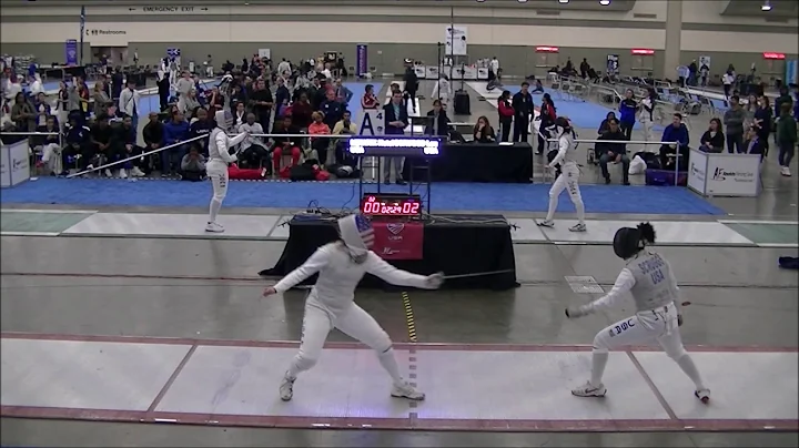 2017 Div I Nationals Women's Foil T16: Minarik vs....