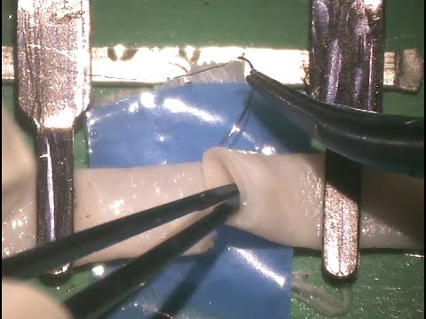 Artery Micro Anastomosis for Beginners