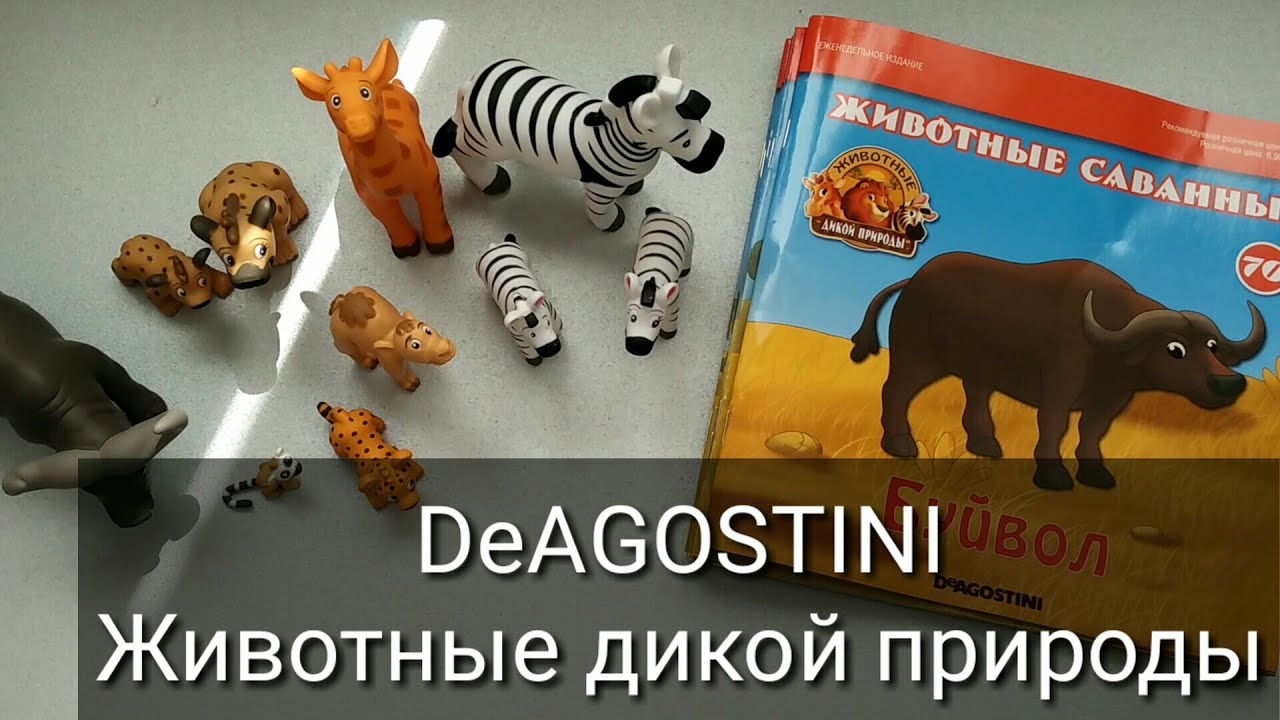 Коллекция DeAGOSTINI "Животные дикой природы" #10 - YouTube